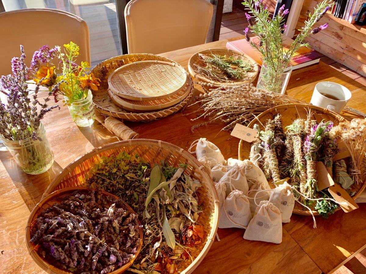 إنسينيتاس Inn At Moonlight Beach المظهر الخارجي الصورة